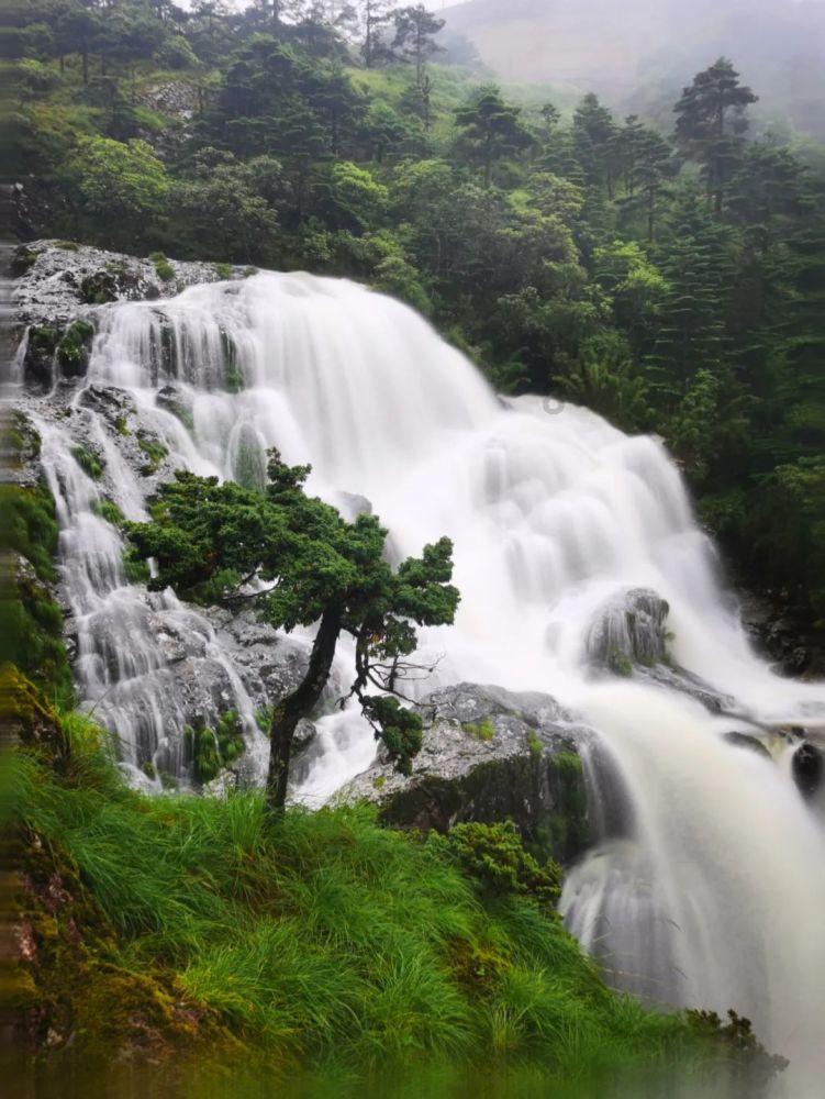 烟雨江湖太乙丹药攻略